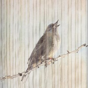 Al Despertar (Jackie Hill Perry)