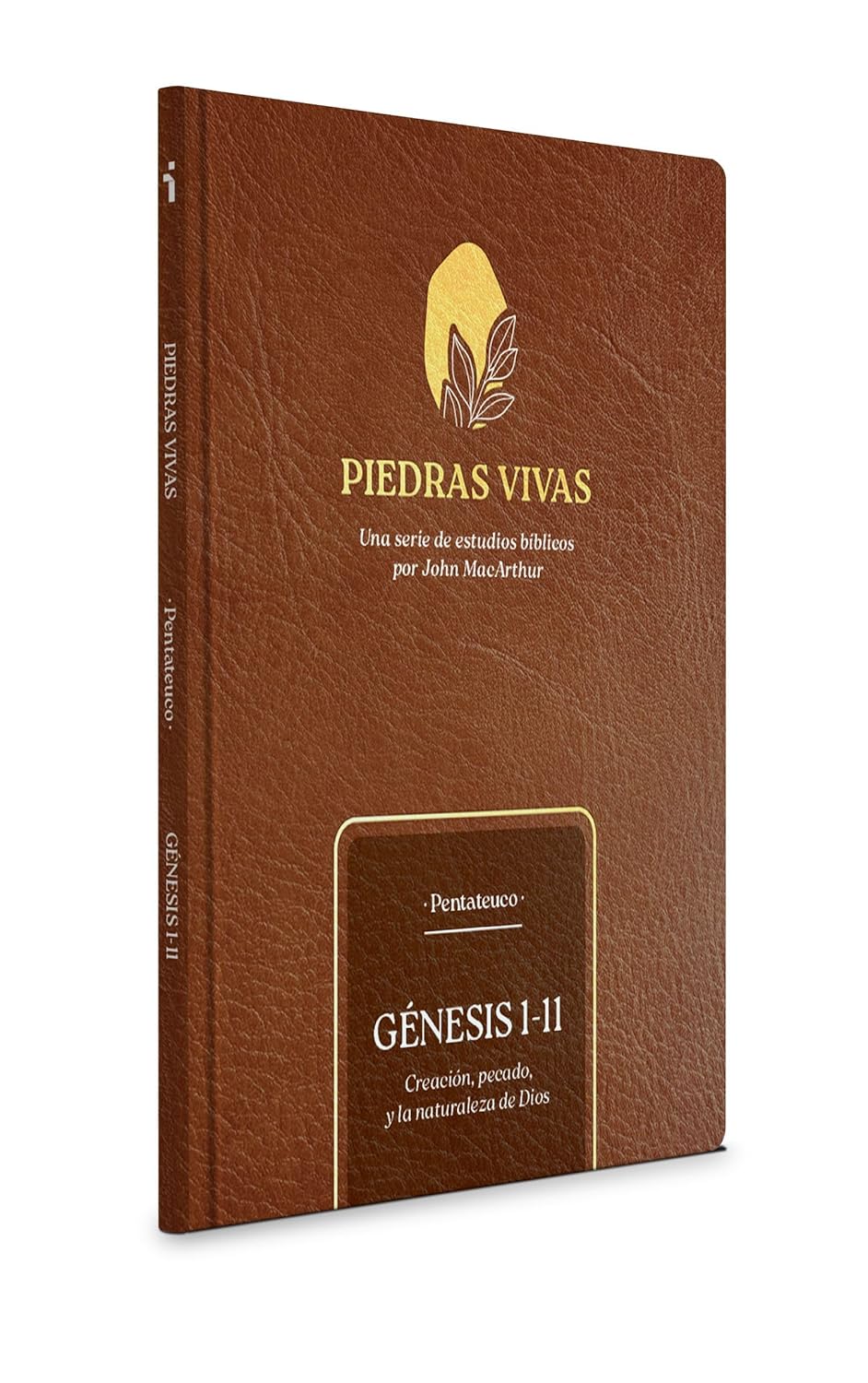 Piedras vivas: Génesis 1-11, serie de estudios bíblicos - Pentateuco (John MacArthur)