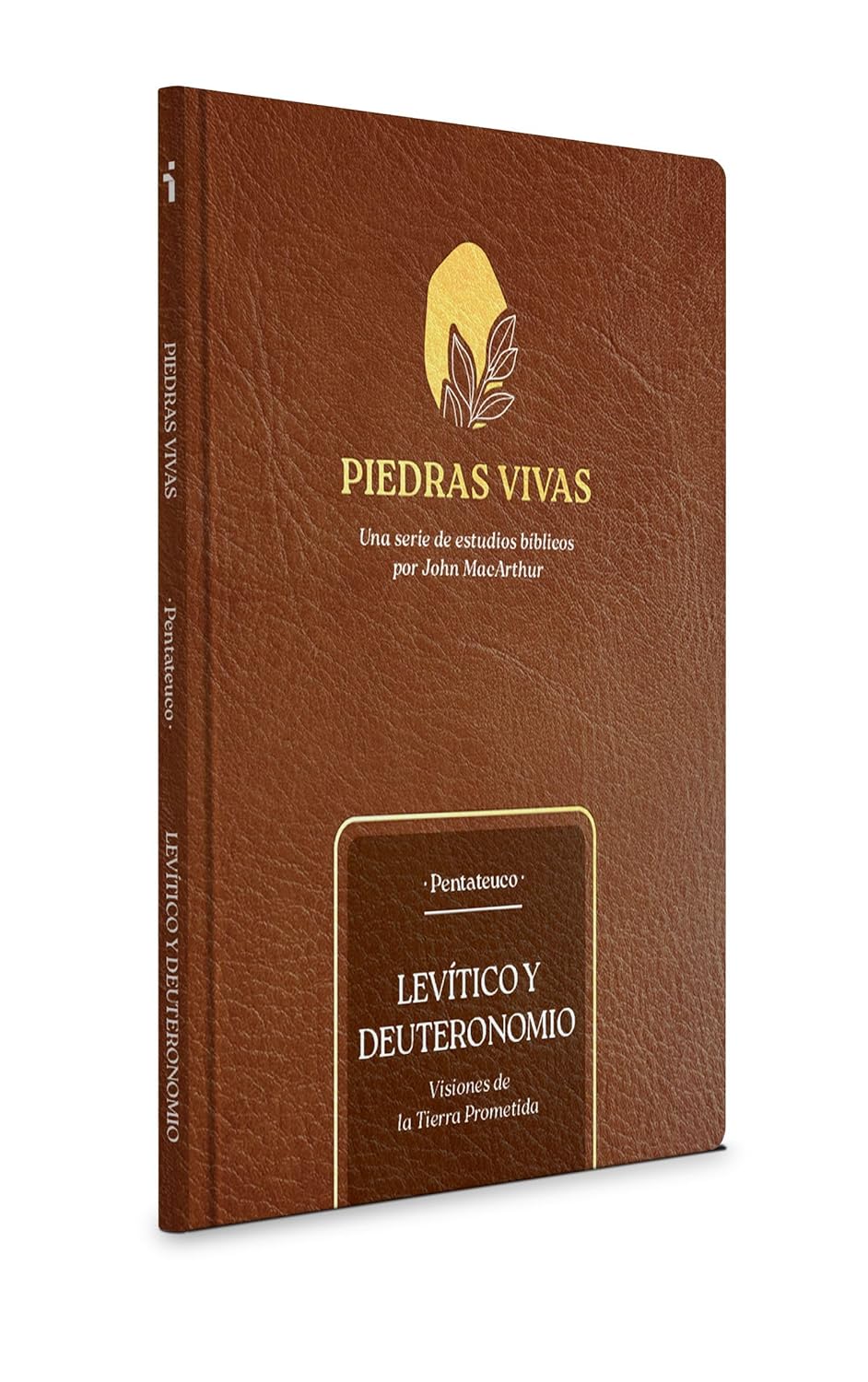 Piedras vivas: Levítico y Deuteronomio, serie de estudios bíblicos - Pentateuco (John MacArthur)